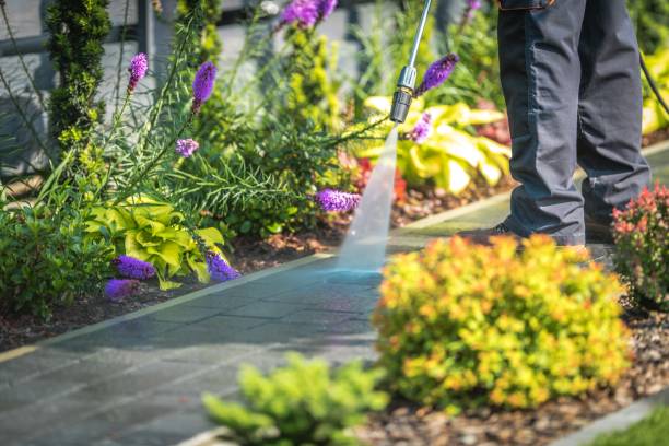 Best Restaurant Pressure Washing  in Rutland, VT